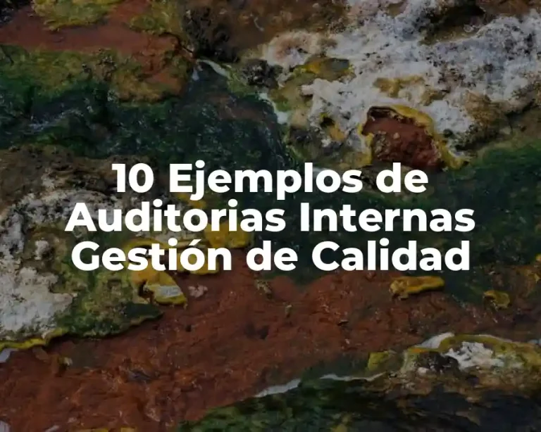 10 Ejemplos de Auditorias Internas Gestión de Calidad