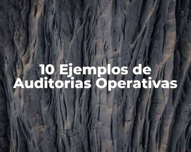 10 Ejemplos de Auditorias Operativas