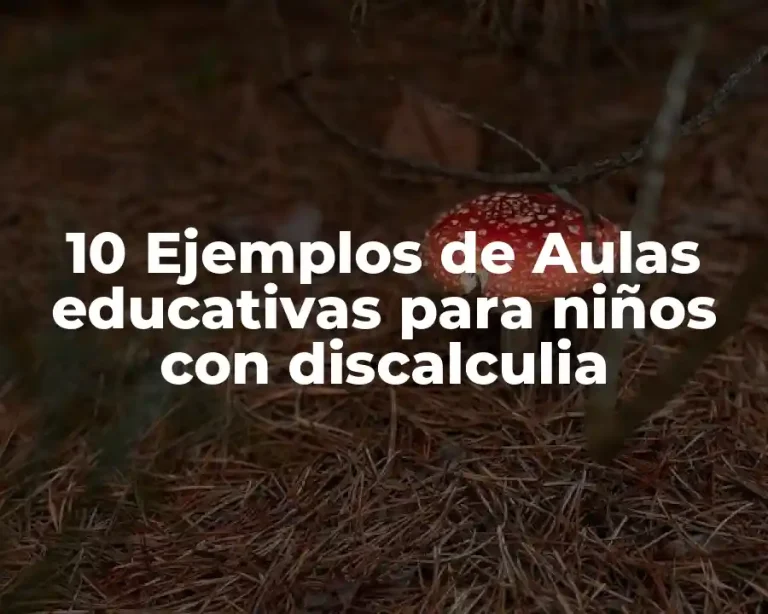 10 Ejemplos de Aulas educativas para niños con discalculia