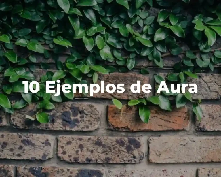 10 Ejemplos de Aura