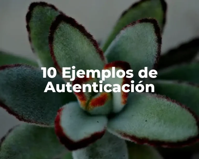 10 Ejemplos de Autenticación
