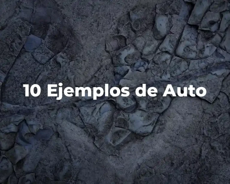 10 Ejemplos de Auto