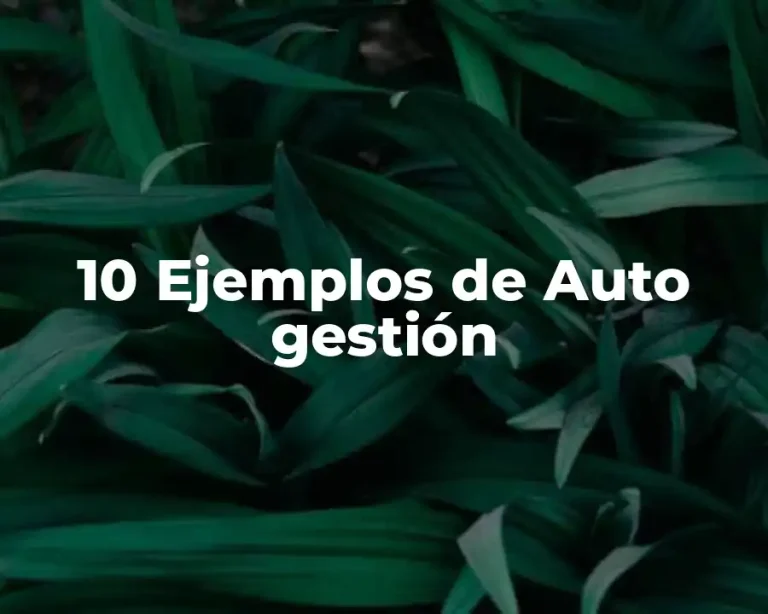 10 Ejemplos de Auto gestión