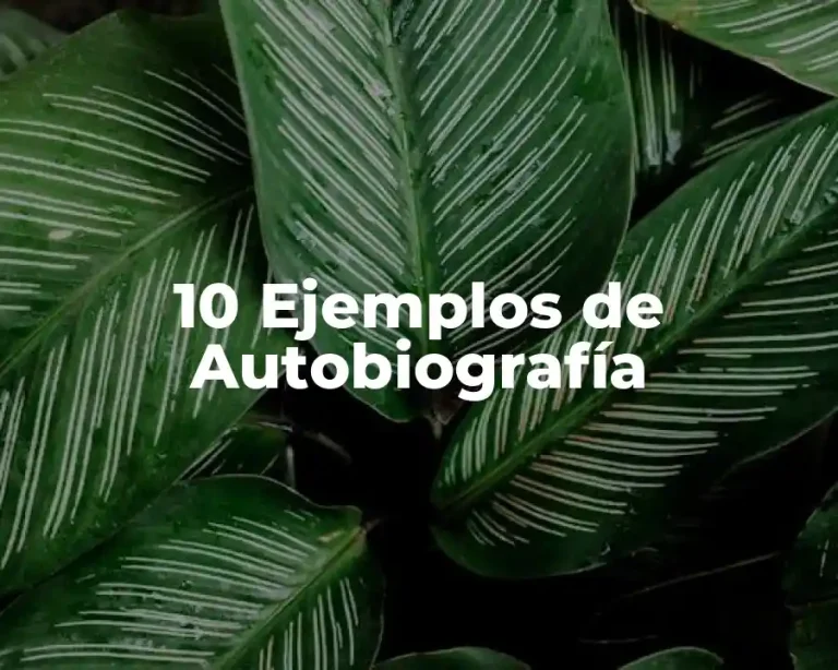 10 Ejemplos de Autobiografía