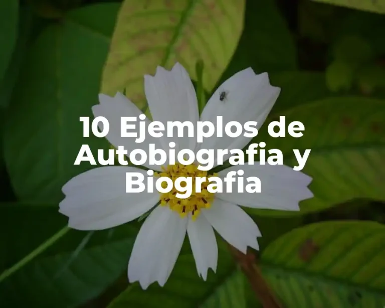10 Ejemplos de Autobiografia y Biografia