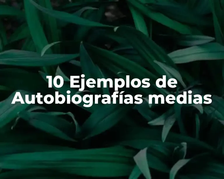 10 Ejemplos de Autobiografías medias