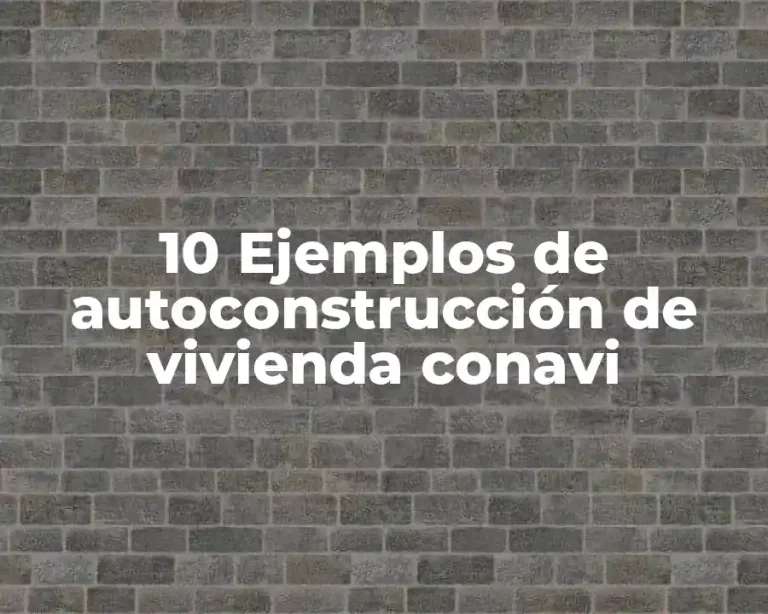 10 Ejemplos de autoconstrucción de vivienda conavi