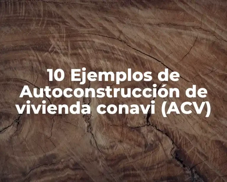 10 Ejemplos de Autoconstrucción de vivienda conavi (ACV)