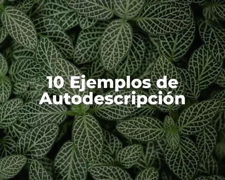 10 Ejemplos de Autodescripción