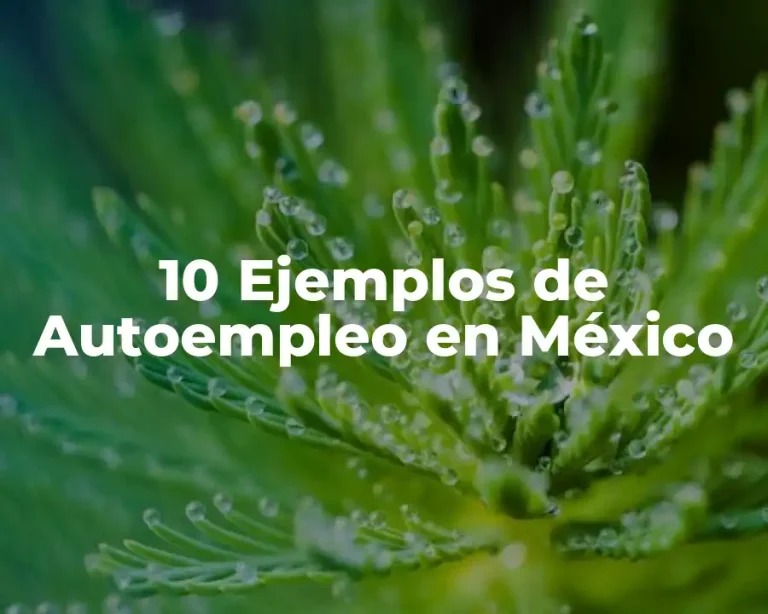 10 Ejemplos de Autoempleo en México