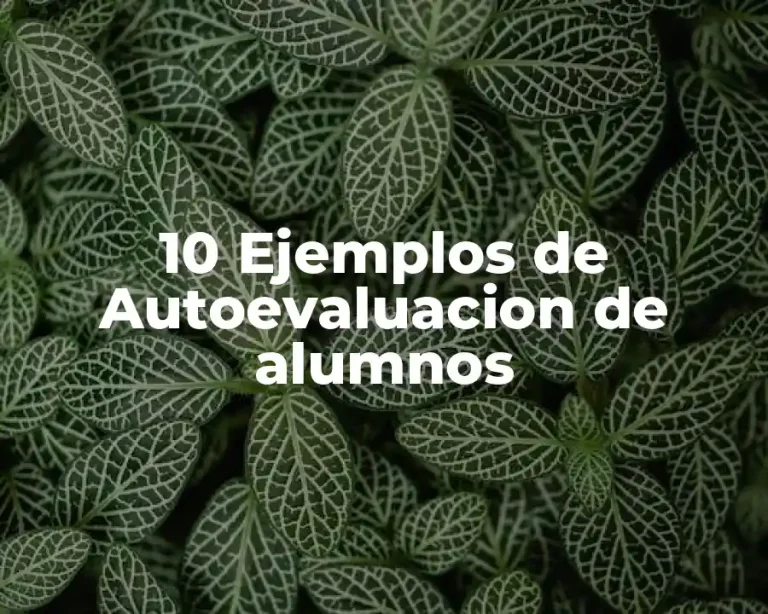 10 Ejemplos de Autoevaluacion de alumnos
