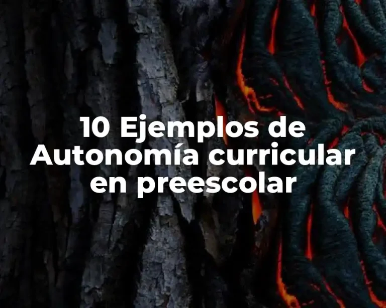 10 Ejemplos de Autonomía curricular en preescolar