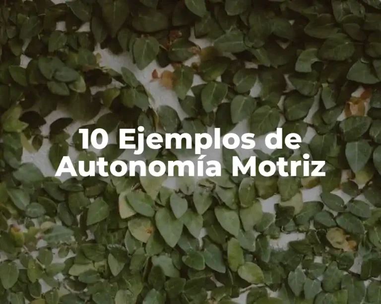 10 Ejemplos de Autonomía Motriz