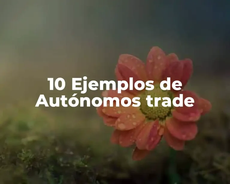 10 Ejemplos de Autónomos trade
