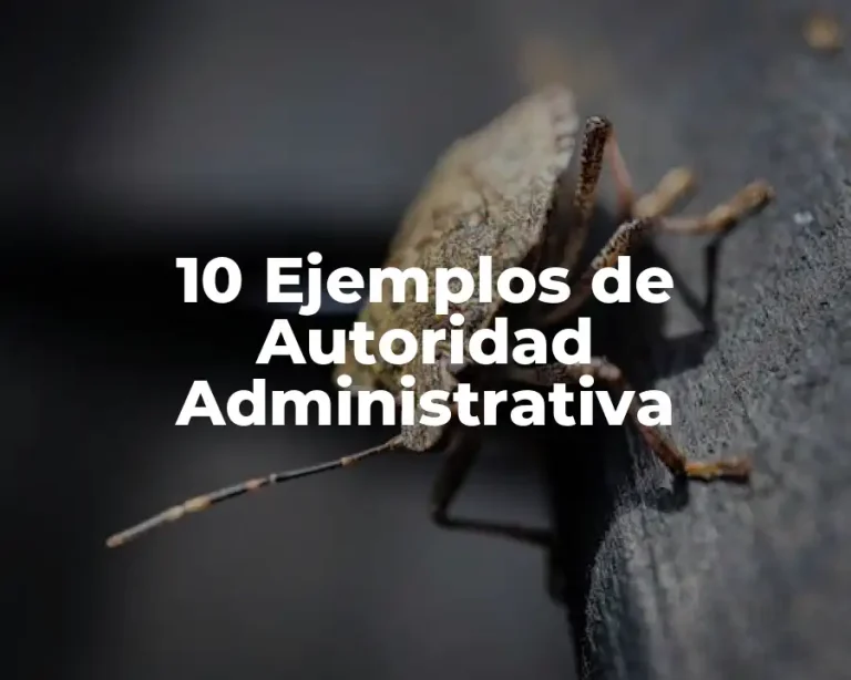 10 Ejemplos de Autoridad Administrativa