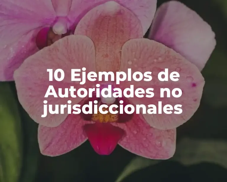 10 Ejemplos de Autoridades no jurisdiccionales