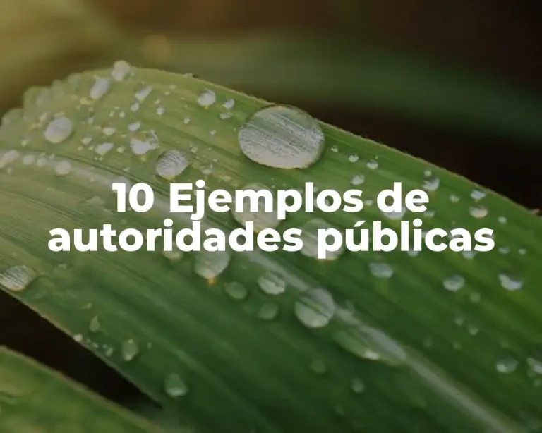 10 Ejemplos de autoridades públicas