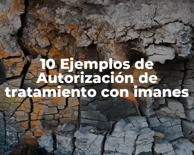 10 Ejemplos de Autorización de tratamiento con imanes
