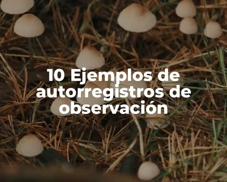 10 Ejemplos de autorregistros de observación