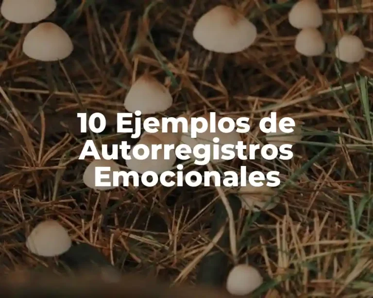 10 Ejemplos de Autorregistros Emocionales