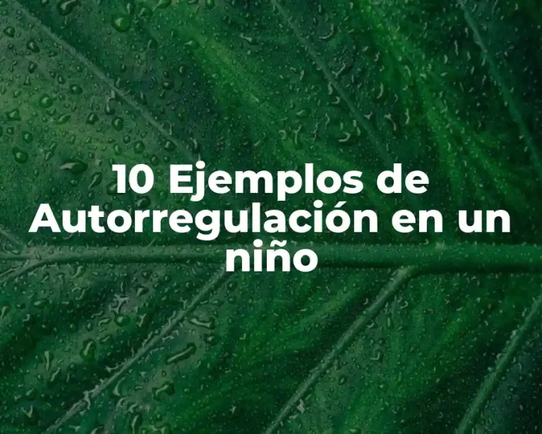 10 Ejemplos de Autorregulación en un niño