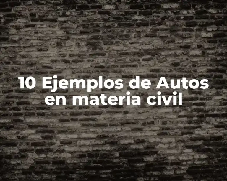 10 Ejemplos de Autos en materia civil