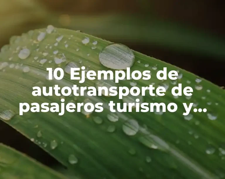 10 Ejemplos de autotransporte de pasajeros turismo y carga