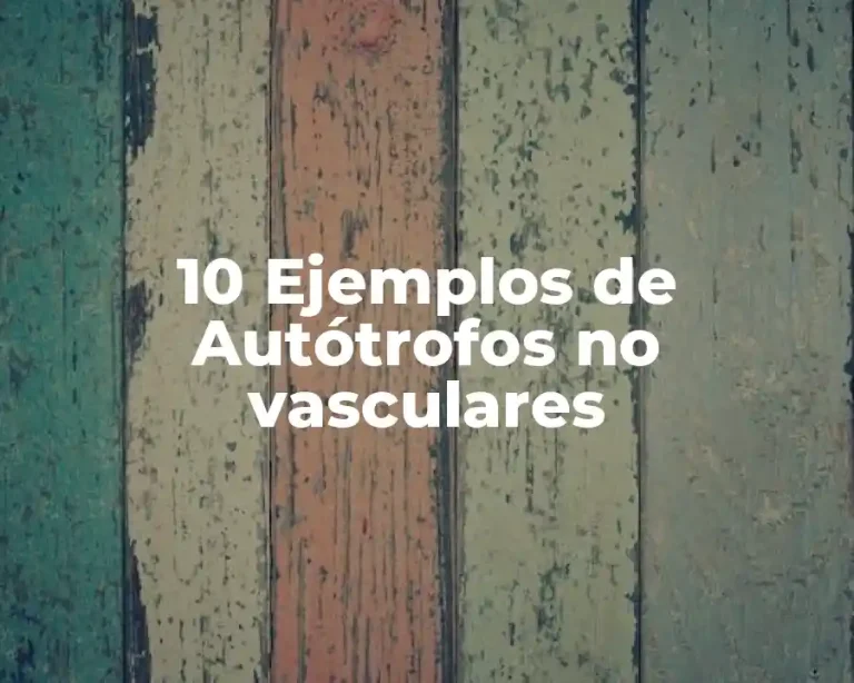 10 Ejemplos de Autótrofos no vasculares