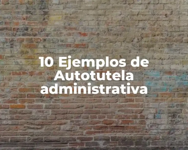 10 Ejemplos de Autotutela administrativa