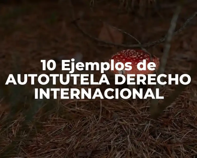 10 Ejemplos de AUTOTUTELA DERECHO INTERNACIONAL