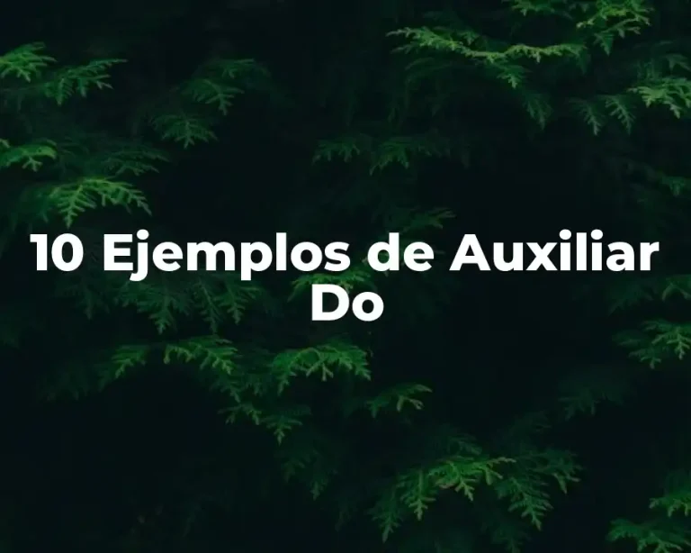 10 Ejemplos de Auxiliar Do