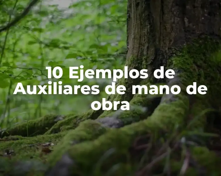 10 Ejemplos de Auxiliares de mano de obra