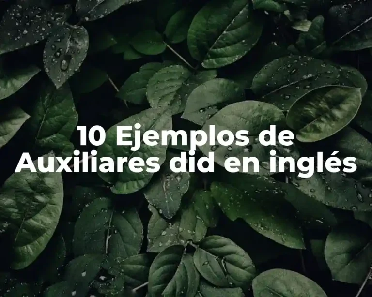 10 Ejemplos de Auxiliares did en inglés