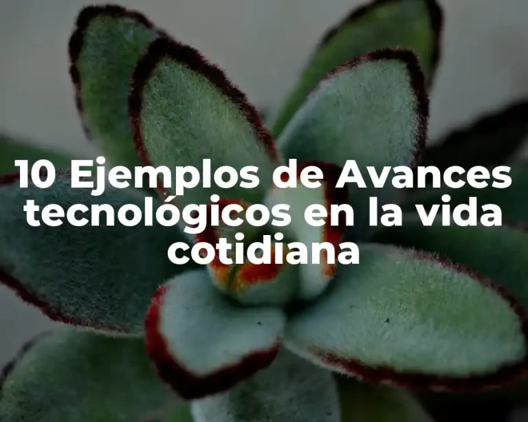 10 Ejemplos de Avances tecnológicos en la vida cotidiana