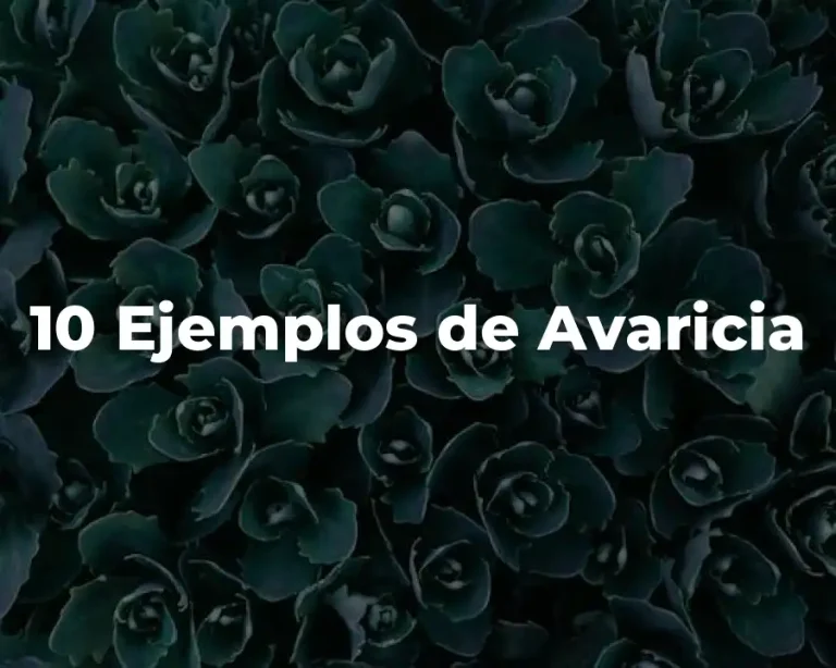 10 Ejemplos de Avaricia