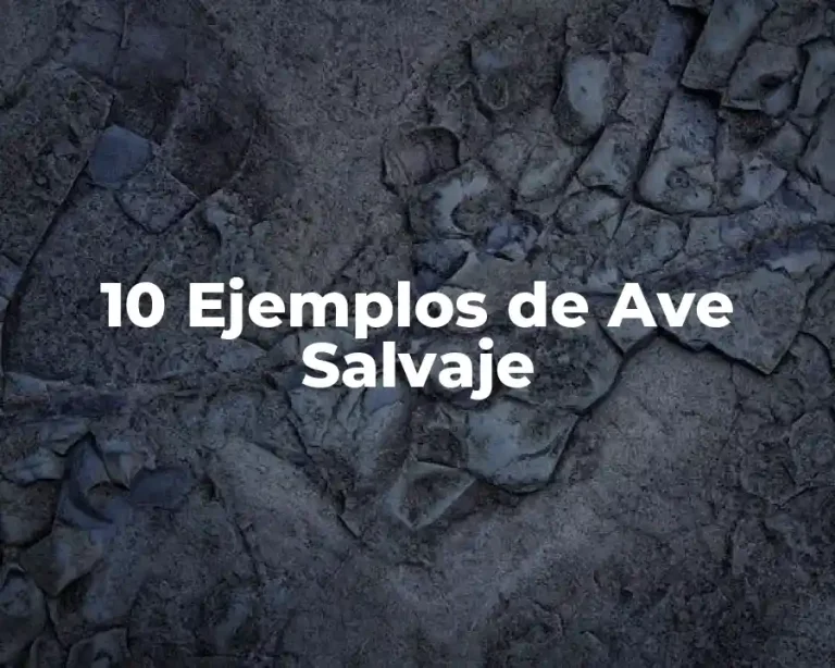 10 Ejemplos de Ave Salvaje