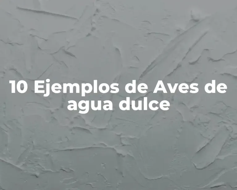 10 Ejemplos de Aves de agua dulce
