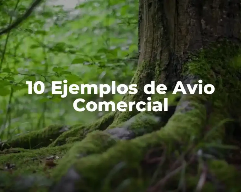 10 Ejemplos de Avio Comercial