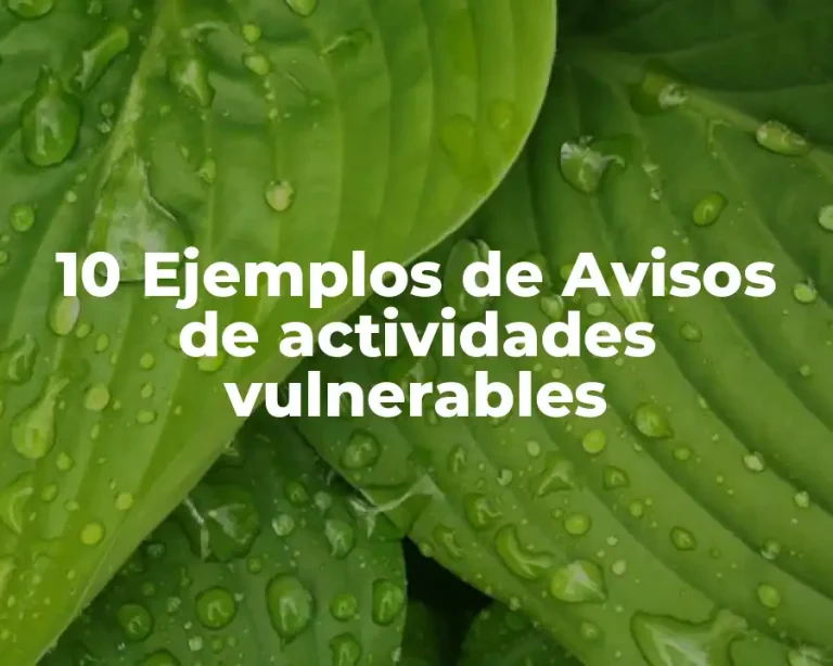 10 Ejemplos de Avisos de actividades vulnerables