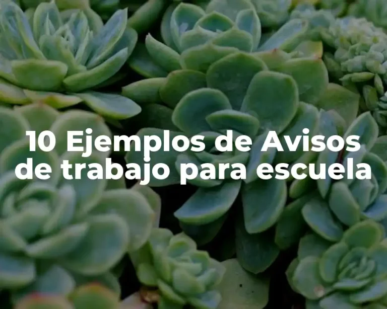 10 Ejemplos de Avisos de trabajo para escuela