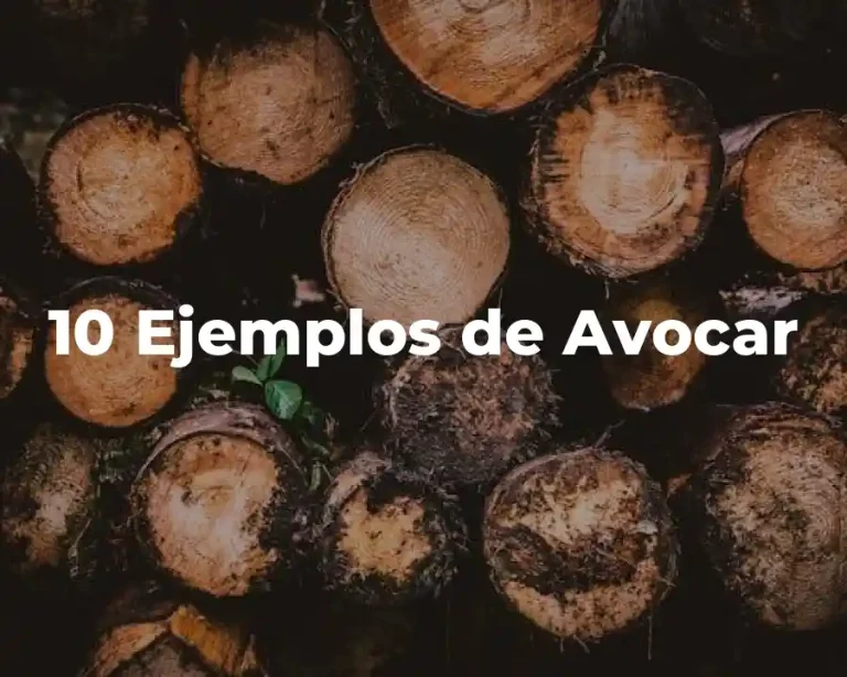 10 Ejemplos de Avocar