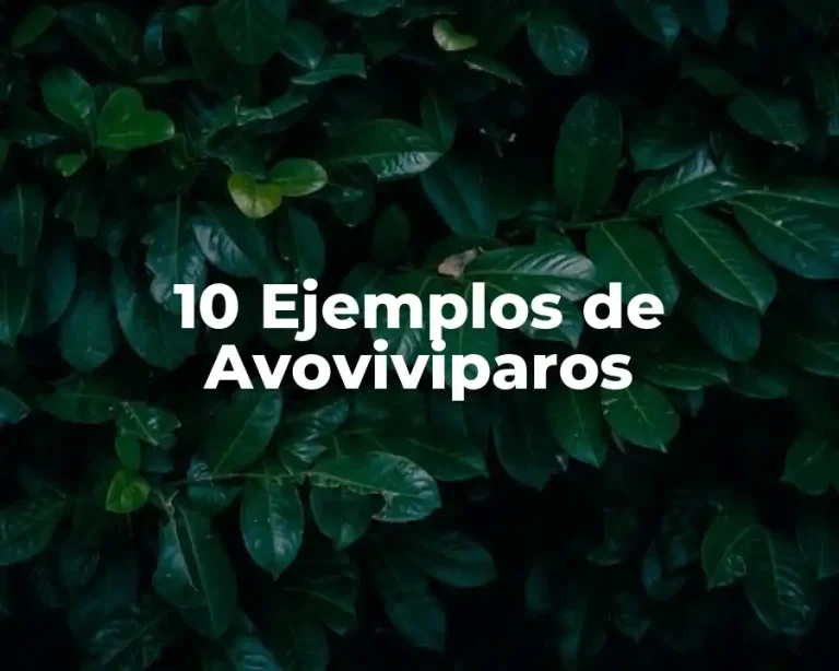 10 Ejemplos de Avoviviparos