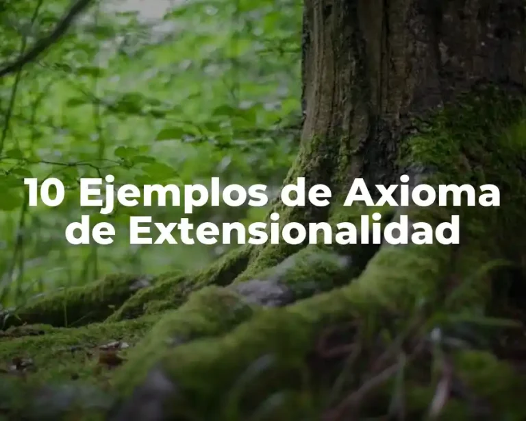 10 Ejemplos de Axioma de Extensionalidad