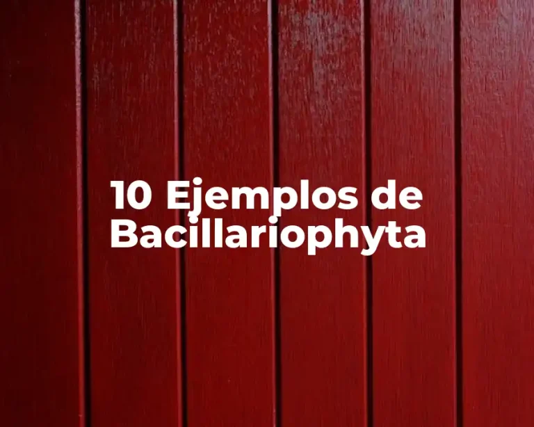 10 Ejemplos de Bacillariophyta
