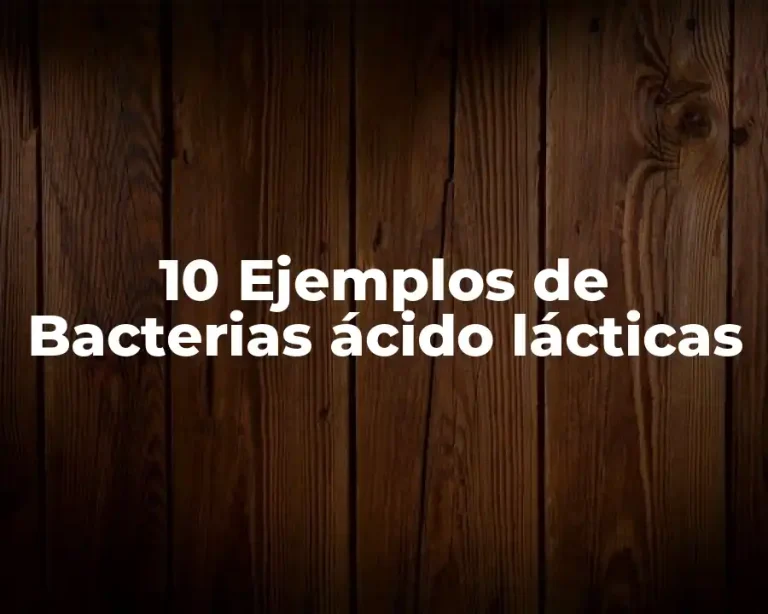 10 Ejemplos de Bacterias ácido lácticas