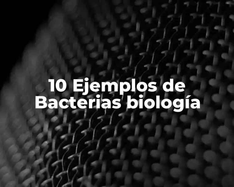 10 Ejemplos de Bacterias biología