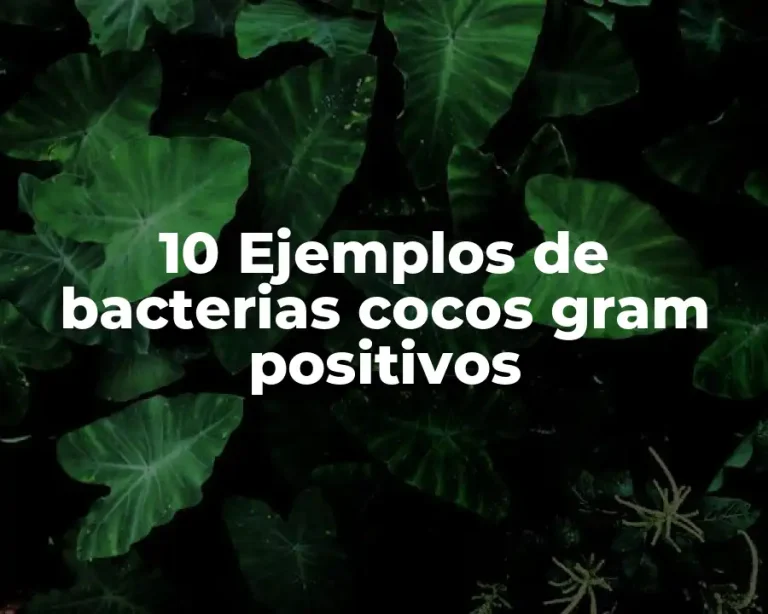 10 Ejemplos de bacterias cocos gram positivos