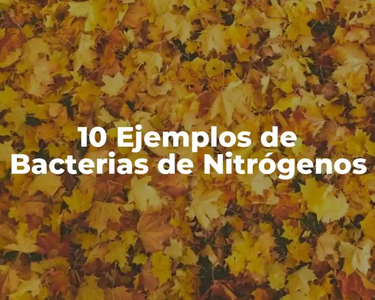 10 Ejemplos de Bacterias de Nitrógenos