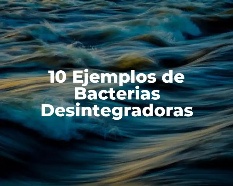 10 Ejemplos de Bacterias Desintegradoras