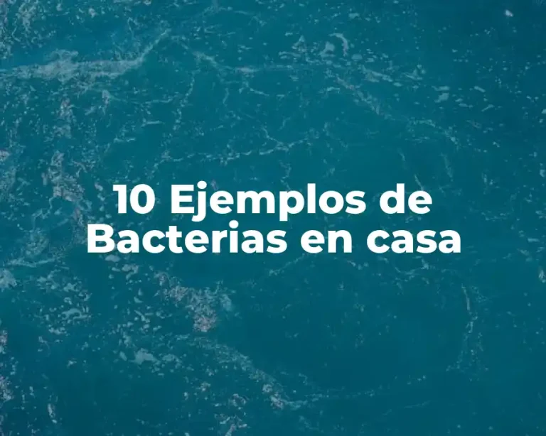 10 Ejemplos de Bacterias en casa